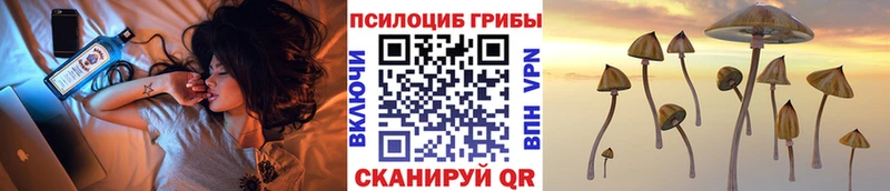 Псилоцибиновые грибы ЛСД MEGA рабочий сайт Кувшиново купить